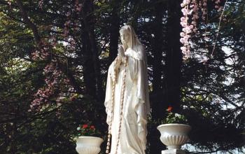 https://www.ladivinamisericordia.org/sites/default/files/field/image/0033mt_lady_of_eden_hill02.jpg