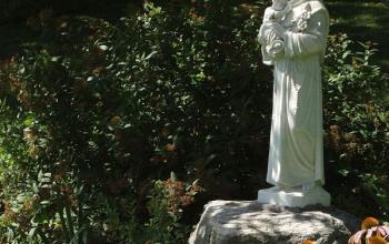 https://www.ladivinamisericordia.org/sites/default/files/field/image/0044_st_anthony_summer_01.jpg