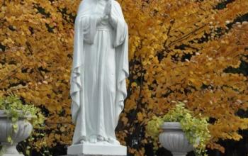 https://www.ladivinamisericordia.org/sites/default/files/field/image/0808ak_mary_immaculate_statue.jpg