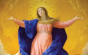 https://www.ladivinamisericordia.org/sites/default/files/field/image/assumption2.jpg