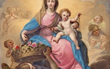 https://www.ladivinamisericordia.org/sites/default/files/field/image/fuente_2023_b.jpg