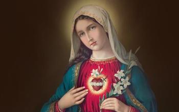 https://www.ladivinamisericordia.org/sites/default/files/field/image/immaculate_heart_mary.jpg