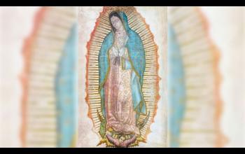 https://www.ladivinamisericordia.org/sites/default/files/field/image/olguadalupe_ext.jpg