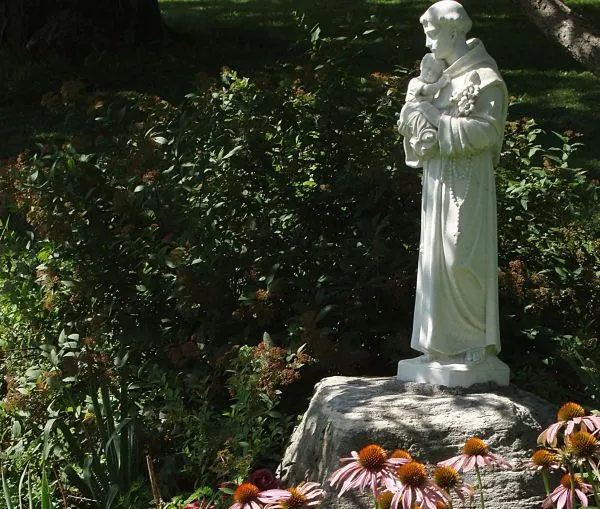 https://www.ladivinamisericordia.org/sites/default/files/field/image/0044_st_anthony_summer_01.jpg