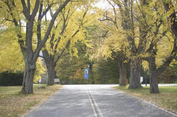 https://www.ladivinamisericordia.org/sites/default/files/field/image/1010mt_eden_hill_autumn_00.jpg
