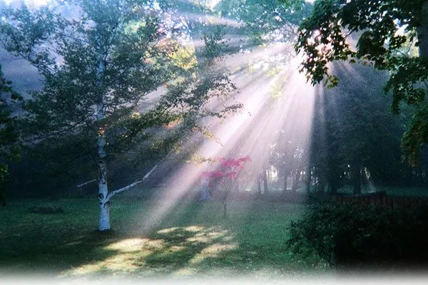 https://www.ladivinamisericordia.org/sites/default/files/field/image/fredphotofeath_adj.jpg